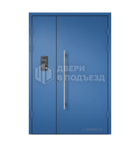 Двустворчатая дверь с порошковым окрасом ДП-154